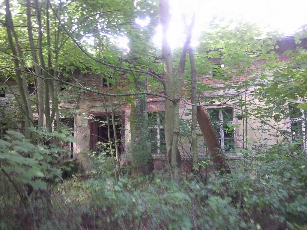 Dom w Dusocinie Ludwika Rydygiera